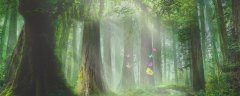 什么是中国被子植物特有属的高频率区