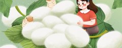 养蚕的过程及图片