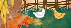 硕育173特点