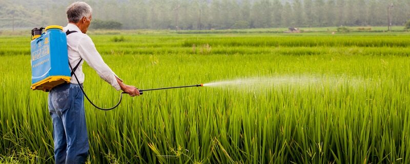 碱性肥料都有哪些 碱性肥料都有哪些