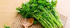 香菜怎么吃