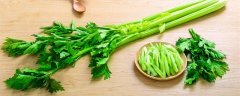 水芹菜的养殖方法和注意事项