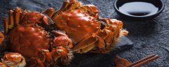 螃蟹有8条腿还是10条腿