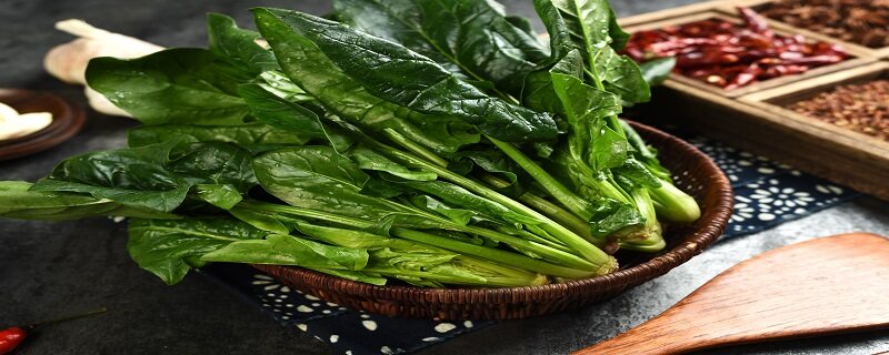 菠菜种植时间和种植方法介绍 菠菜种植时间和种植方法介绍