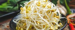 绿豆芽怎么种