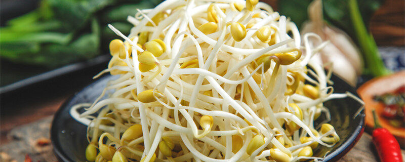 绿豆芽怎么种 绿豆芽怎么种