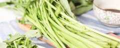 空心菜种植方法和技术