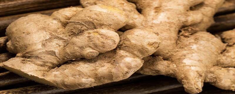 生姜种植方法 生姜种植方法