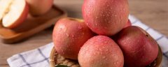 子房发育成什么