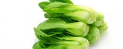 怎样让小白菜不生虫