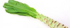 秋莴笋育苗种植时间和方法