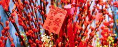 银柳是什么