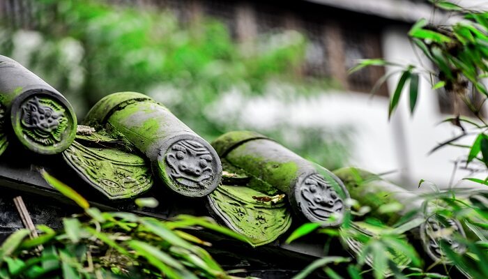 昆明植被类型 昆明植被类型