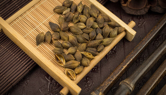 苍耳是靠什么传播种子的正确答案 苍耳是靠什么传播种子的正确答案