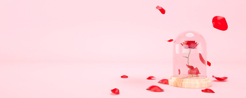 干花和永生花 干花和永生花