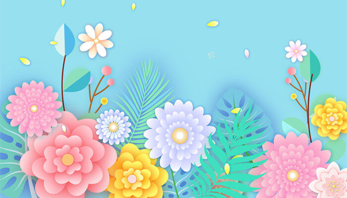 小苍兰开花及花期 小苍兰开花及花期