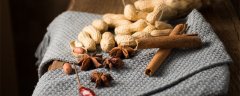 双子叶植物叶的脉序通常为