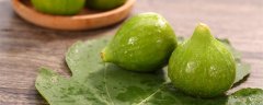 饥荒无花果树怎么种