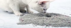 猫砂可以做肥料吗