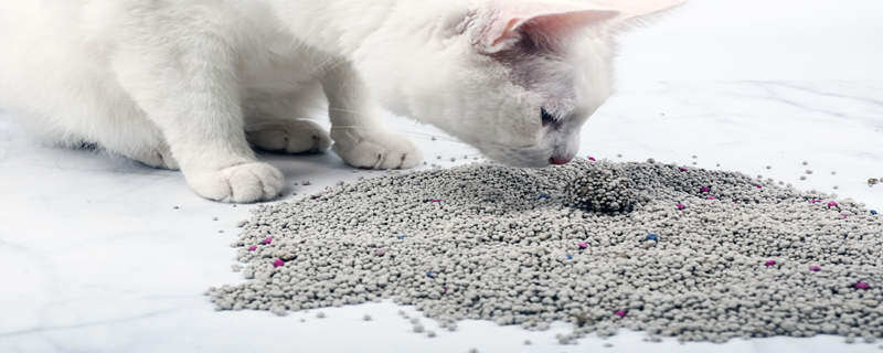 猫砂可以做肥料吗 猫砂可以做肥料吗