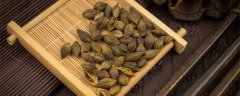 苍耳靠什么传播种子的答案