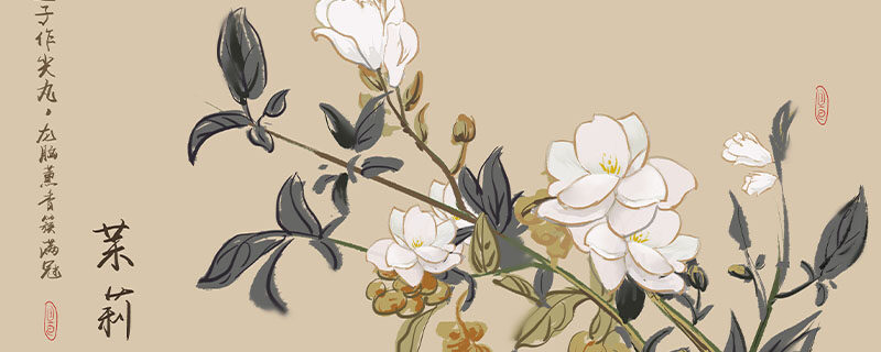 茉莉花几月发芽 茉莉花几月发芽