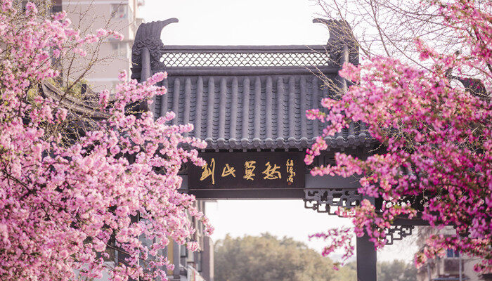 农历十二个月花名 农历十二个月花名