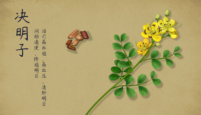 决明子为什么不能在家里养