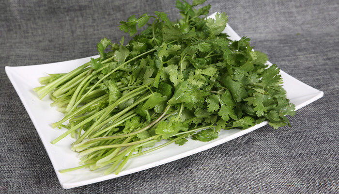 香菜怎么吃