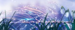 二月兰花怎么形容