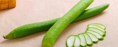 丝瓜种植时间及技术要点