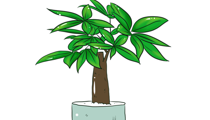 客厅风水植物有哪些 客厅风水植物有哪些