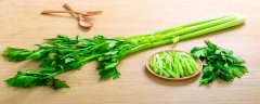 芹菜十一月份种可以吗