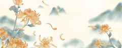 人生易老天难老指的是什么花