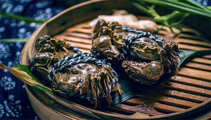 波格力蟹是什么品种 波格力蟹是什么品种