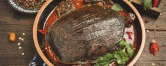 野生甲鱼怎么养 在家