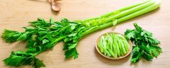 芹菜不催芽能播种吗