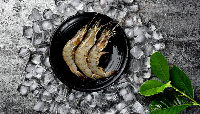 虾类靠什么呼吸? 虾类靠什么呼吸?