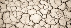 施哪种氮肥容易土壤板结