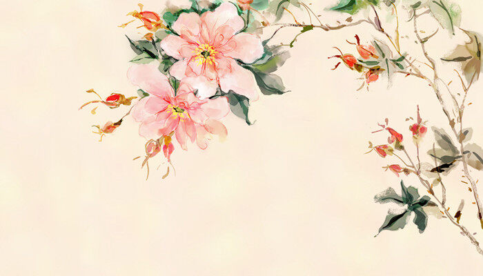 兰花的花语及传说 兰花的花语及传说