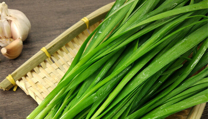 韭菜的种植与管理 韭菜的种植与管理