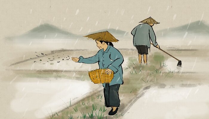尿素加白糖加醋对农作物有什么作用 尿素加白糖加醋对农作物有什么作用