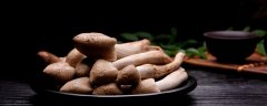 野山菌的种类及图片名字