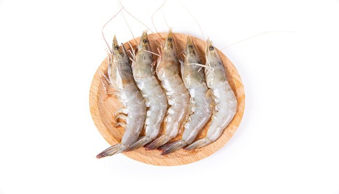 海虾怎么养殖
