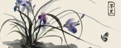 兰花是国家几级保护植物
