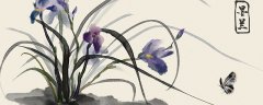 墨兰什么时候开花