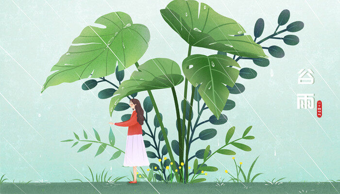 中国香草荚种植基地 中国香草荚种植基地