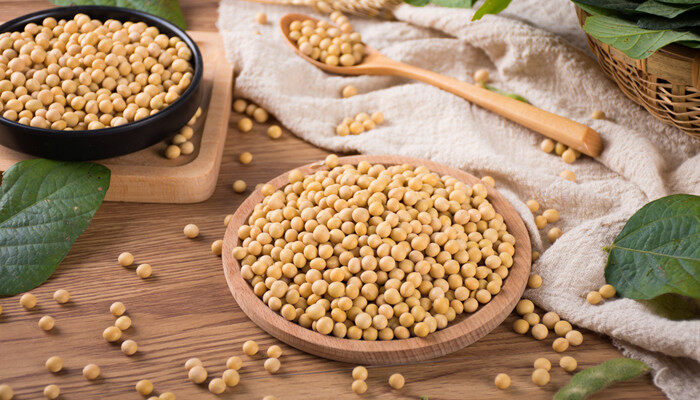 大豆产量 大豆产量