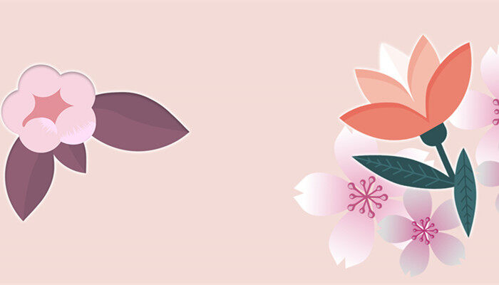 蓝莲花象征什么 蓝莲花象征什么