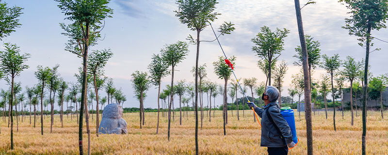 失地农民是什么 失地农民是什么